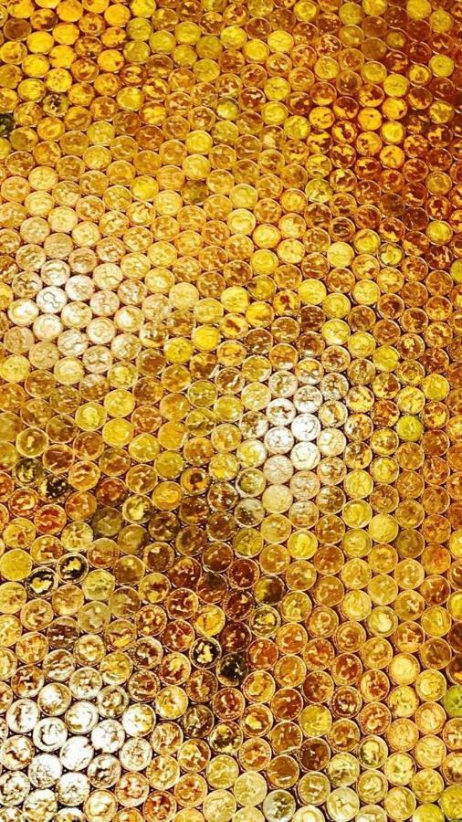 复古休闲公寓 哈斯丁 外观 照片